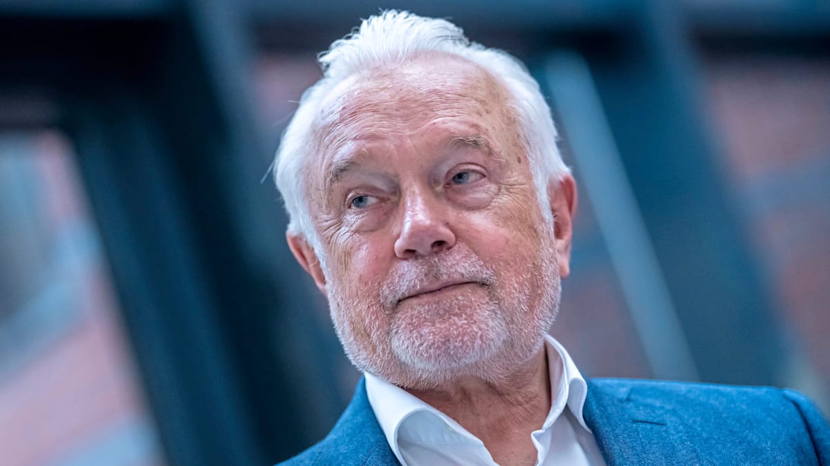 Wolfgang Kubicki's Bold Plan to Save the FDP from Irrelevance